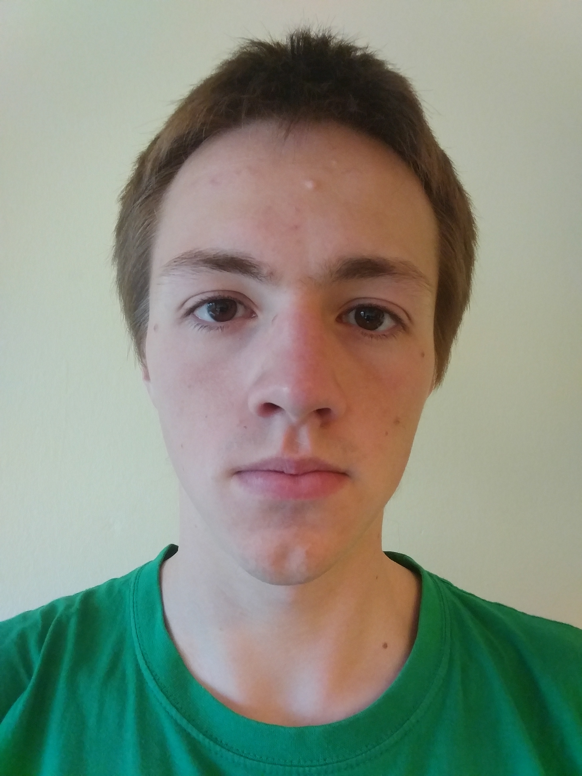 Stepan Simsa